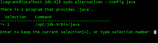 Install Java 9 on CentOS, RHEL - Use Alternatives to configure Java